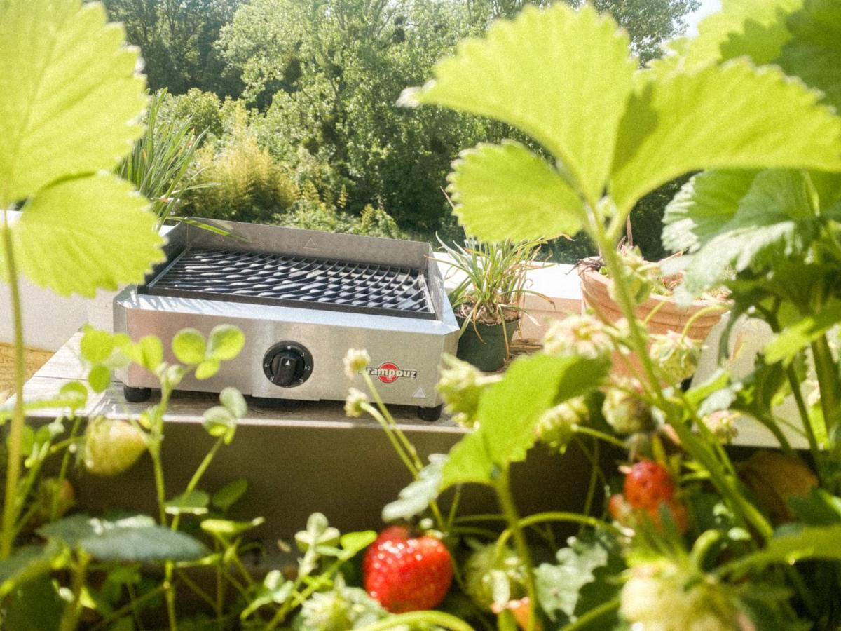 L'Olympique: Appartement Cosy, Vue Canal Grande Terrasse Et Parking Vaires-sur-Marne Exterior foto